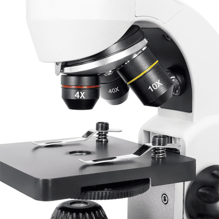 Микроскоп Levenhuk Rainbow D50L PLUS / Лунный камень